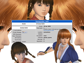 Composite graphic. At the center is a screenshot of the author’s profile on the website “Dead or Alive Central” with spare information: his gamer tag is “Solid47”; his location is “somewhere”; his occupation is “none”; his interests are “games, sports.” Surrounding the screenshot are cut-outs of two characters—the game’s copper-haired protagonist, Kasumi, and the Tai Chi–practitioner Leifang—at various scales and in various poses.