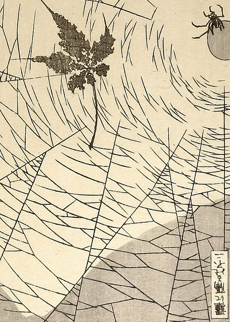 print of a spider in a web with a leaf
