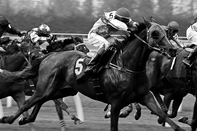 Photograph of a horse race. The frame is tight on four or five riders. The image is highly detailed and sweat is visible on the center horse's neck. The horse's muscles are also visibly strained.
