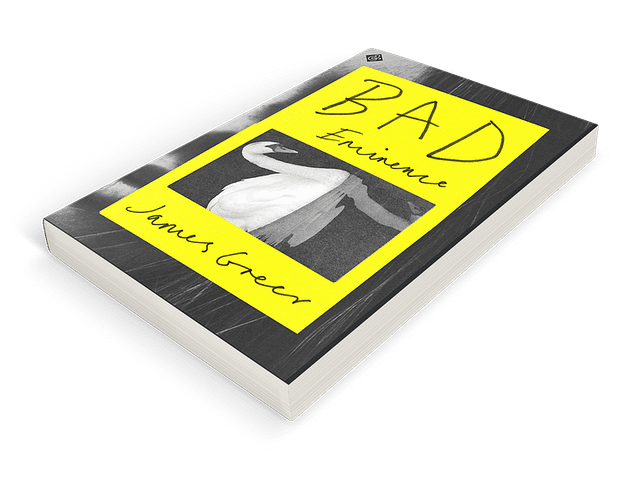 James Greer's novel Bad Eminence