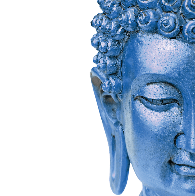 a blue statue of the Buddha, showing the right side of the face