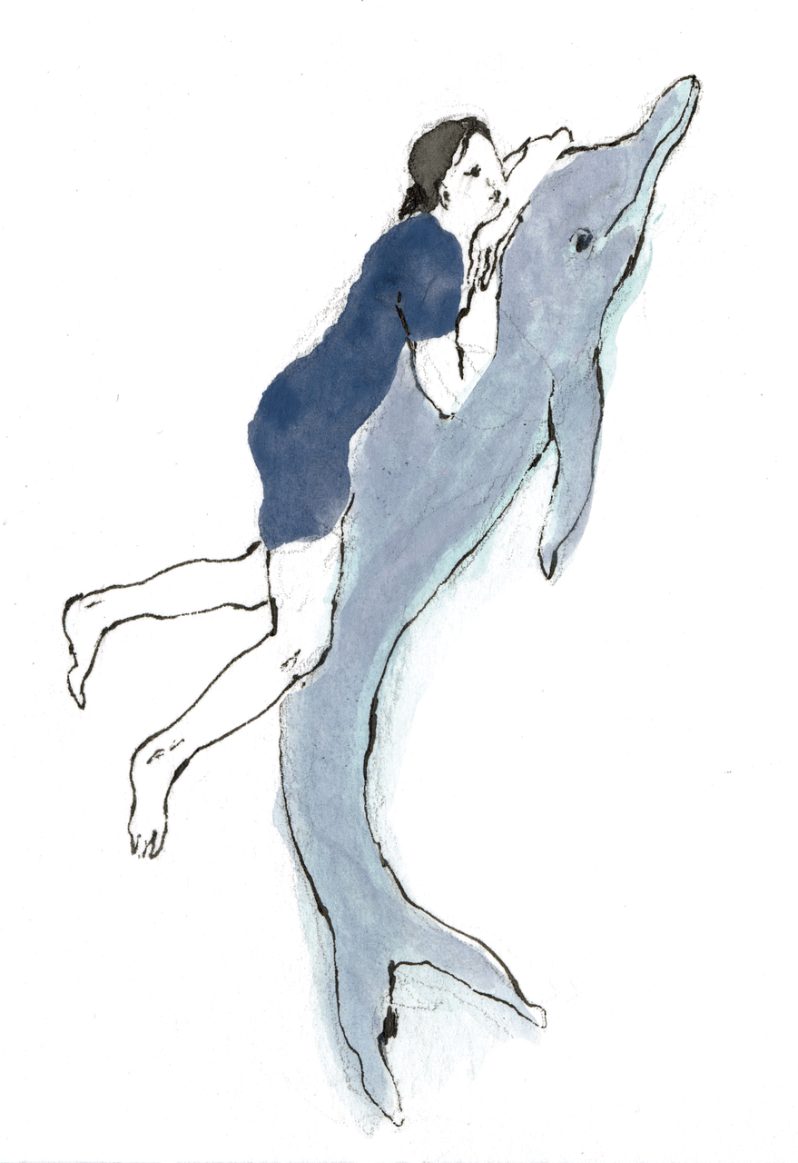 woman in a blue swimsuit clinging onto the back of a dolphin